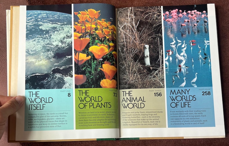 Abcs of NATURE - Vintage 1980s Readers Digest Hardcover Book - Etsy