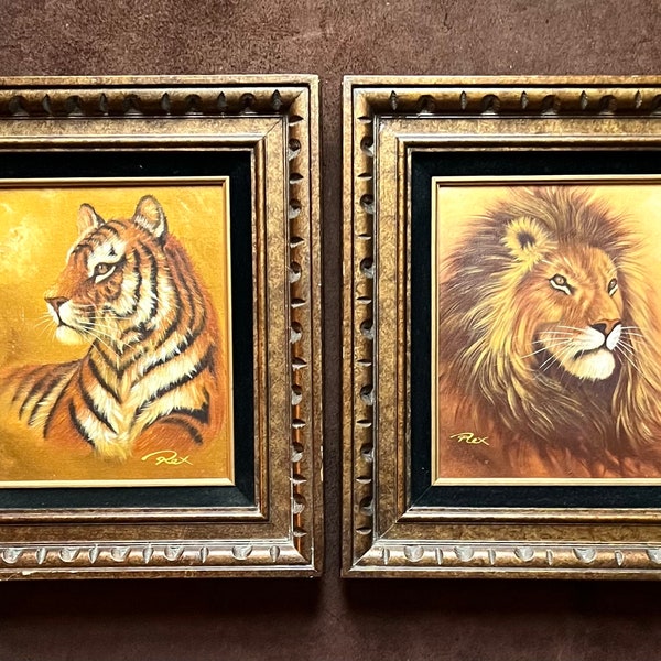 Deux peintures vintage encadrées de grands félins, tigre et lion - signées Rex