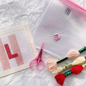 Kit de bordado para principiantes: lienzo de malla 13 personalizado y pintado a mano. Todo lo que necesitas. imagen 7