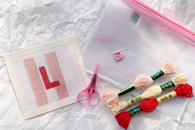 Kit de bordado para principiantes: lienzo de malla 13 personalizado y pintado a mano. Todo lo que necesitas. imagen 7