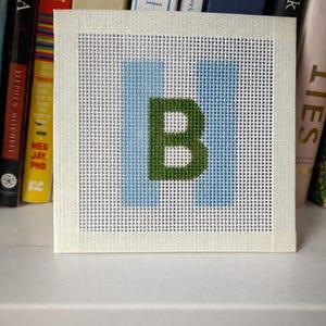 Kit de bordado para principiantes: lienzo de malla 13 personalizado y pintado a mano. Todo lo que necesitas. imagen 10