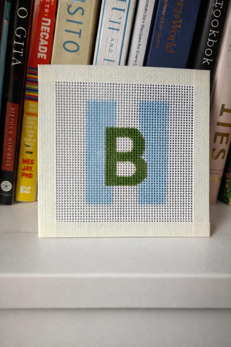 Kit de bordado para principiantes: lienzo de malla 13 personalizado y pintado a mano. Todo lo que necesitas. imagen 10
