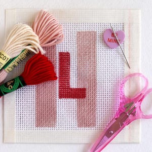 Kit de bordado para principiantes: lienzo de malla 13 personalizado y pintado a mano. Todo lo que necesitas. imagen 3
