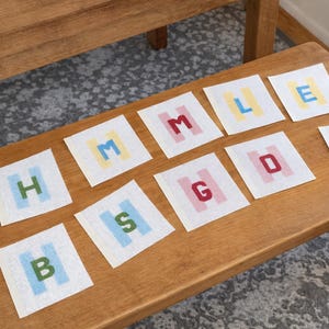 Kit de bordado para principiantes: lienzo de malla 13 personalizado y pintado a mano. Todo lo que necesitas. imagen 9
