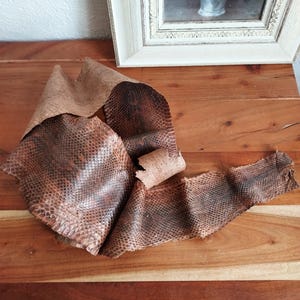 Peut inclure: Un morceau de cuir de peau de serpent marron avec un motif d'écailles. Le cuir est enroulé et plié, révélant l'envers. Le cuir de serpent est sur une surface en bois, avec une image encadrée en arrière-plan.