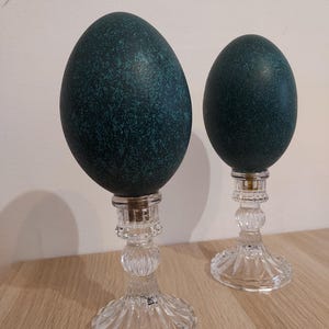 Peut inclure: Deux œufs de couleur sarcelle, posés sur des bougeoirs en cristal transparent. Les œufs ont une texture tachetée et sont de forme ovale. Les bougeoirs ont un design classique avec une base ronde et une tige décorative. Sur une surface en bois.