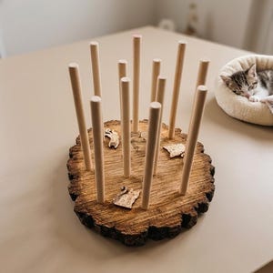 Puede incluir: Una rodaja de madera con varios tacos de madera verticales. La rodaja de madera tiene un borde de corteza natural y pequeños recortes de madera. Un taco está pintado de rosa. Un gatito duerme en una cama redonda en el fondo.