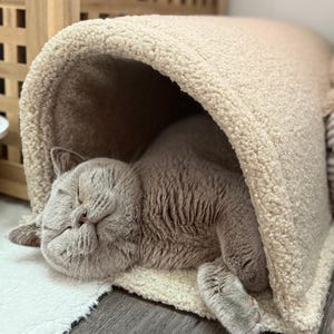 Könnte beinhalten: Eine graue Katze schläft friedlich in einem beigefarbenen, plüschigen Katzenbett. Das Katzenbett ist eine gemütliche, geschlossene Struktur mit einer weichen, strukturierten Außenseite. Die Katze ist zusammengerollt, die Augen geschlossen und genießt ein Nickerchen.
