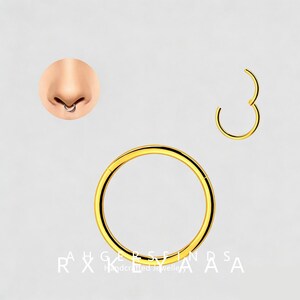 May include: A gold-coloured nose ring and a matching open ring, with a close-up of a nose wearing a similar ring. The jewellery is set against a light background. The text "RAHGERSEFINDS Handcrafted Jewelle" is at the bottom.