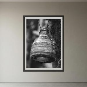 Può includere: Fotografia in bianco e nero di una bottiglia di vetro vintage appesa a un ramo d'albero. La bottiglia, con una superficie strutturata, è incorniciata. L'immagine è montata a parete. La forma della bottiglia è arrotondata.