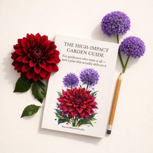 May include: A book titled "THE HIGH-IMPACT GARDEN GUIDE" with a watercolor illustration of flowers. A deep red dahlia and two purple allium flowers are arranged around the book. A pencil rests beside the book. The book is for gardeners.