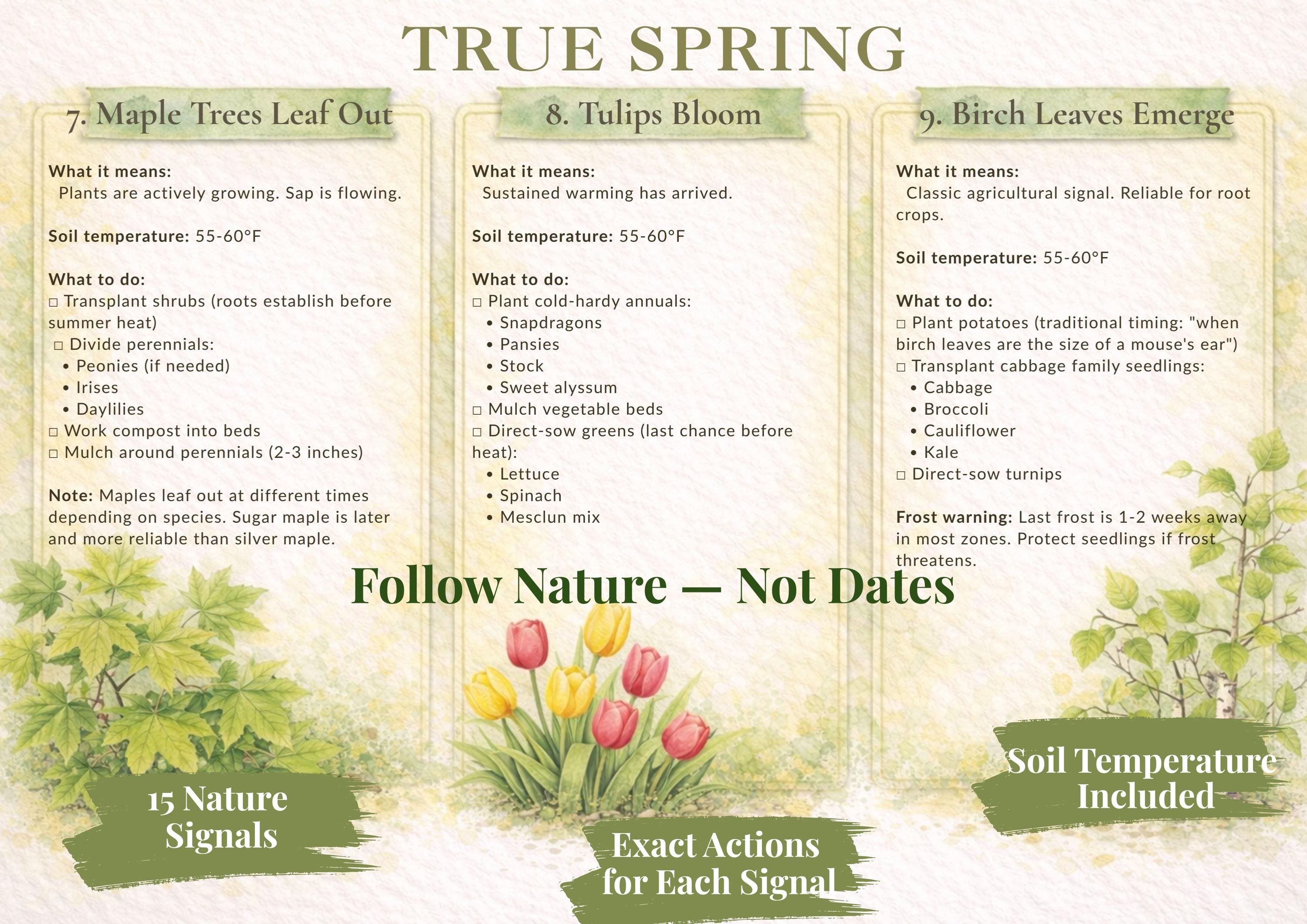 Spring Planting Guide Printable | When to Plant Using Nature's Signals ...
