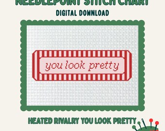 Heated Rivalry You Look Pretty Digital Needlepoint Chart Canvas