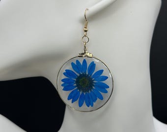Real Pressed Blue Daisy Resin Earrings | Botanical Nature Jewellery