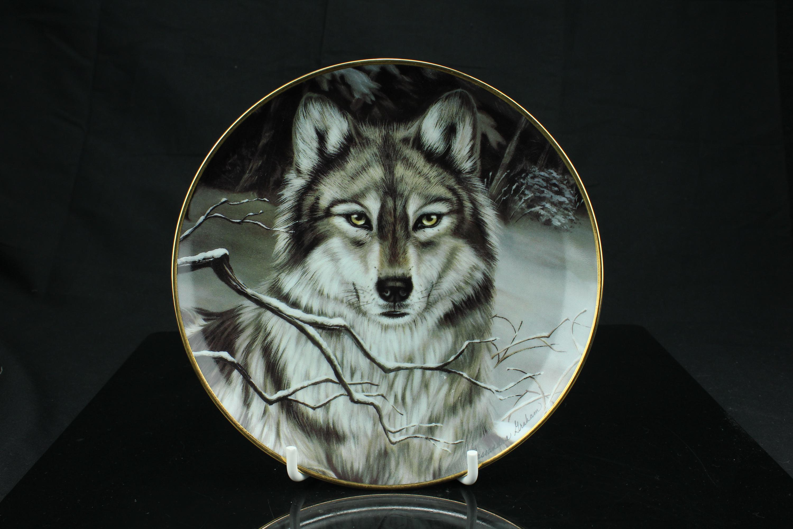 フランクリンミント F-15A Wolfhounds Franklin mint - Etsy Nederland