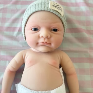May include: A lifelike baby doll with a light skin tone, wearing a gray beanie with a label that reads "Little Heart Nursery". The doll is dressed in a white diaper. The background is a pink and white checkered pattern.