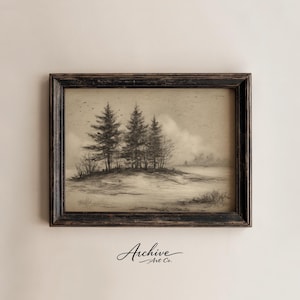 May include: A framed black and white landscape art print. The artwork depicts a cluster of pine trees on a small island, with a misty background. The frame is dark wood, and the print is signed. The text "Archive Art Co." is in the lower right corner.
