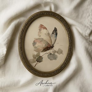 Puede incluir: Una impresión enmarcada de estilo antiguo, de forma ovalada, con una acuarela de una mariposa con alas rosas, blancas y azules. La mariposa descansa sobre una rama con hojas verdes apagadas. El marco es dorado con un diseño ornamentado. El texto "Archive Art Co." está en la parte inferior.