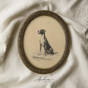 May include: An oval framed print featuring a seated dog with a black and white coat. The dog is depicted in a detailed pencil sketch style. The frame is gold-toned with an ornate border. The print is signed "Archive Art Co."