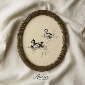 May include: An oval, antique-style picture frame with a detailed gold border. Inside, a black and white ink drawing depicts two ducks swimming in water. The artwork is signed "Archive Art Co."
