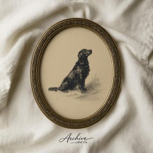 Può includere: Una stampa ovale incorniciata con un cane nero seduto, con uno stile di disegno dettagliato. La cornice è dorata con un design ornato. La stampa ha il testo "Archive Art Co." in basso.
