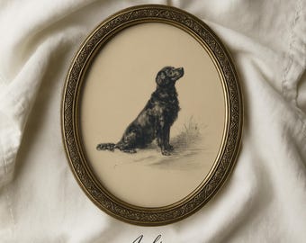 May include: An oval framed print featuring a black dog in a sitting position, with a detailed drawing style. The frame is gold-toned with an ornate design. The print has the text "Archive Art Co." at the bottom.