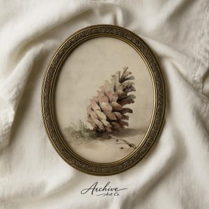 Può includere: Dipinto ad acquerello ovale incorniciato di una pigna. La pigna è dipinta in tonalità di rosa e marrone, con un tocco di verde alla base. La cornice è dorata con un design ornato. Il testo "Archive Art Co." è in basso.