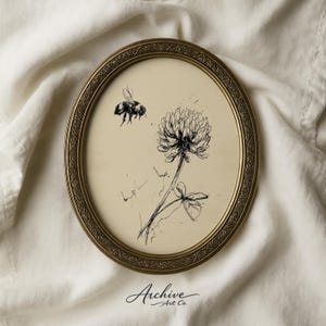 May include: An oval, antique-style framed print featuring a detailed pen and ink drawing of a bee hovering near a clover flower. The artwork is in black and white, set against a cream-coloured background. The frame is gold-toned with an ornate border. The text "Archive Art Co." is at the bottom.