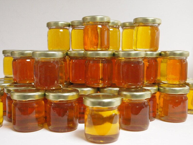 60 Plain Honey Jars Wedding Favors Etsy