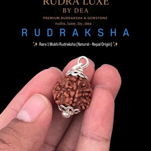 May include: A brown Rudraksha bead pendant with a silver cap, held in a hand against a black background. The text "RUDRA LUXE BY DEA" and "RUDRAKSHA" is visible. The pendant is described as "Rare 1 Mukhi Rudraksha (Natural - Nepal Origin)".