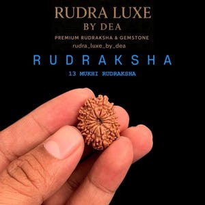 Könnte beinhalten: Nahaufnahme einer braunen Rudraksha-Perle, die in einer Hand gehalten wird, vor schwarzem Hintergrund. Der Text lautet "RUDRA LUXE BY DEA" und "RUDRAKSHA 13 MUKHI RUDRAKSHA". Die Perle hat eine strukturierte Oberfläche.