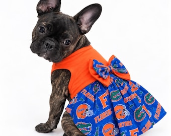Könnte beinhalten: Eine gestromte Französische Bulldogge trägt ein ärmelloses orangefarbenes Oberteil mit einem blauen Rock, der ein wiederkehrendes Muster aus Florida Gators-Logos, Footballhelmen und dem Text Florida zeigt. Eine große blau-orange Schleife sitzt an der Taille.