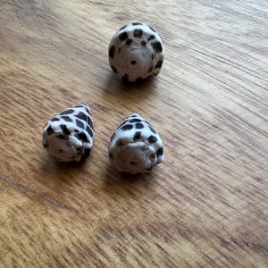May include: Three small, conical sea shells featuring a white base color with dark brown, irregular, block-like spots. Each shell has a distinct, centered circular hole at the apex, indicating they are prepared for use as beads in jewelry making.