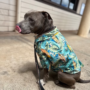 Hawaiian shirt for dogs • dog aloha shirt