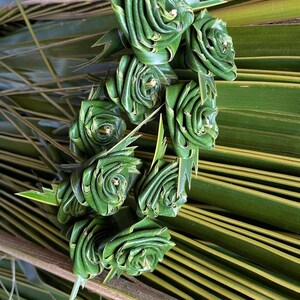 Coco Frond Maui Roses: Hawaiian Lokelani Rosettes, Set of 6