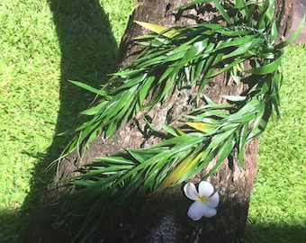 Maile Style Ti Leaf Lei - Etsy