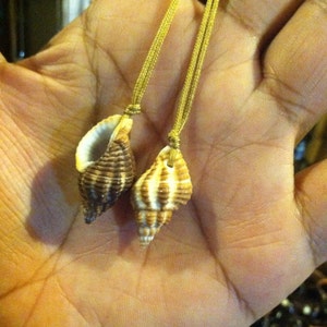 Tiny triton style shell necklace.
