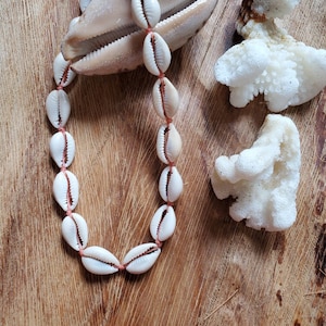 May include: A white shell necklace with a red string, made of cowrie shells, on a wooden surface with two pieces of white coral.