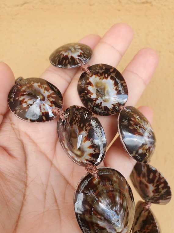 Pacific palm shop shell necklace