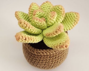 Rosette Succulent PDF Crochet Pattern, Crochet Succulents, Crochet Plant Patterns, Low Sew Patterns,  Cactus Crochet Pattern