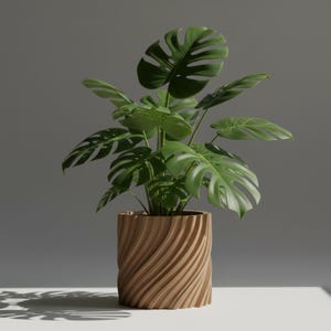 Peut inclure: Une plante Monstera en pot avec de grandes feuilles vertes. Le pot en bois est de couleur marron clair et présente un motif tourbillonnant texturé. Le fond est gris neutre.