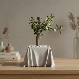 Könnte beinhalten: Eine kleine Jade-Pflanze in einem quadratischen, hellgrauen Topf mit einem drapierten Stoffdesign. Die Pflanze hat einen braunen Stamm und grüne Blätter. Der Topf steht auf einem Holztisch, mit anderen dekorativen Gegenständen im Hintergrund.