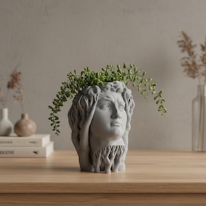 Könnte beinhalten: Ein grauer, geformter Kopf-Blumentopf mit klassischem Design, der grüne Pflanzen enthält. Der Topf hat ein detailliertes Gesicht und Haar, wobei die Basis des Kopfes in eine wurzelartige Struktur übergeht. Der Topf steht auf einer Holzoberfläche.