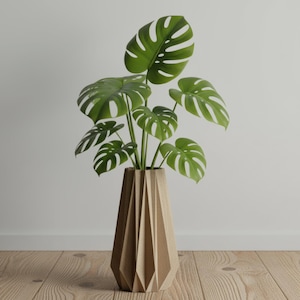 Könnte beinhalten: Eine hohe, dekorative Vase mit geometrischem Design hält eine üppige, grüne Monstera-Pflanze. Die Vase ist hellbraun und steht auf einem Holzboden. Die Pflanze hat große, geteilte Blätter.