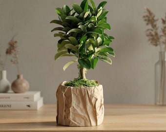 Fyrkantig kruka av skrynkligt papper – 3D-printad modern växtkruka för suckulenter och minimalistisk heminredning