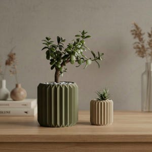 Könnte beinhalten: Zwei geometrische Pflanzgefäße, eines olivgrün und eines beige, stehen auf einer Holzoberfläche. Der größere Pflanztopf enthält einen kleinen Baum mit grünen Blättern und weißen Kieselsteinen. Der kleinere Topf enthält eine kleine Sukkulentenpflanze.