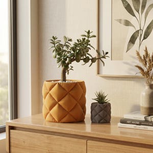 Könnte beinhalten: Zwei dekorative Blumentöpfe mit Pflanzen auf einer Holzoberfläche. Der größere Topf ist senfgelb mit einem Rautenmuster, der kleinere grau. Ein gerahmter botanischer Druck und Bücher befinden sich im Hintergrund.