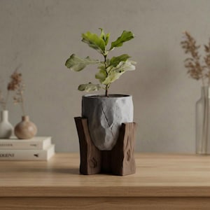 Puede incluir: Una pequeña planta en maceta con hojas verdes en una maceta gris texturizada. La maceta se encuentra en un soporte de madera marrón oscuro. La planta está sobre una mesa de madera.