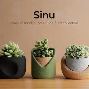 Könnte beinhalten: Drei kleine Pflanzgefäße mit Sukkulenten, beschriftet mit Sinu und Three distinct curves. One fluid collective. Das linke Gefäß ist schwarz, das mittlere ist grün mit einem beigen Einsatz, das rechte ist eine beige Schale mit grauem Topf.