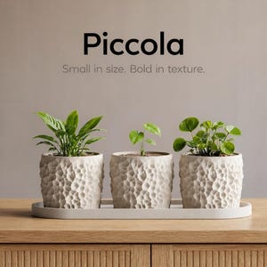 Piccola Mini Planter Pot 3D Printed PLA Geometric Voronoi Texture Succulent Pot